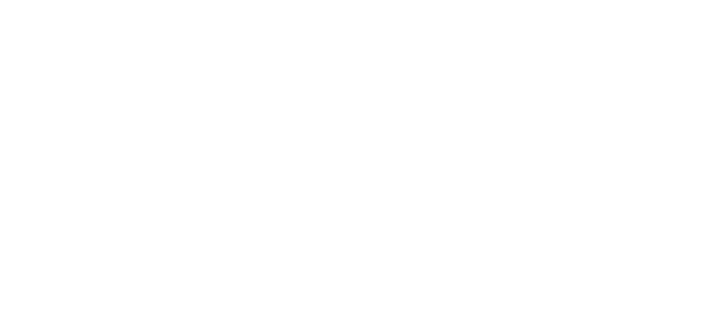 Next Play Showcase and Sports Academy